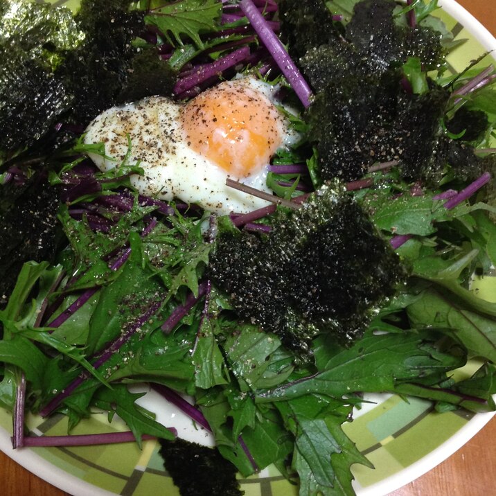 紫水菜と海苔のサラダ